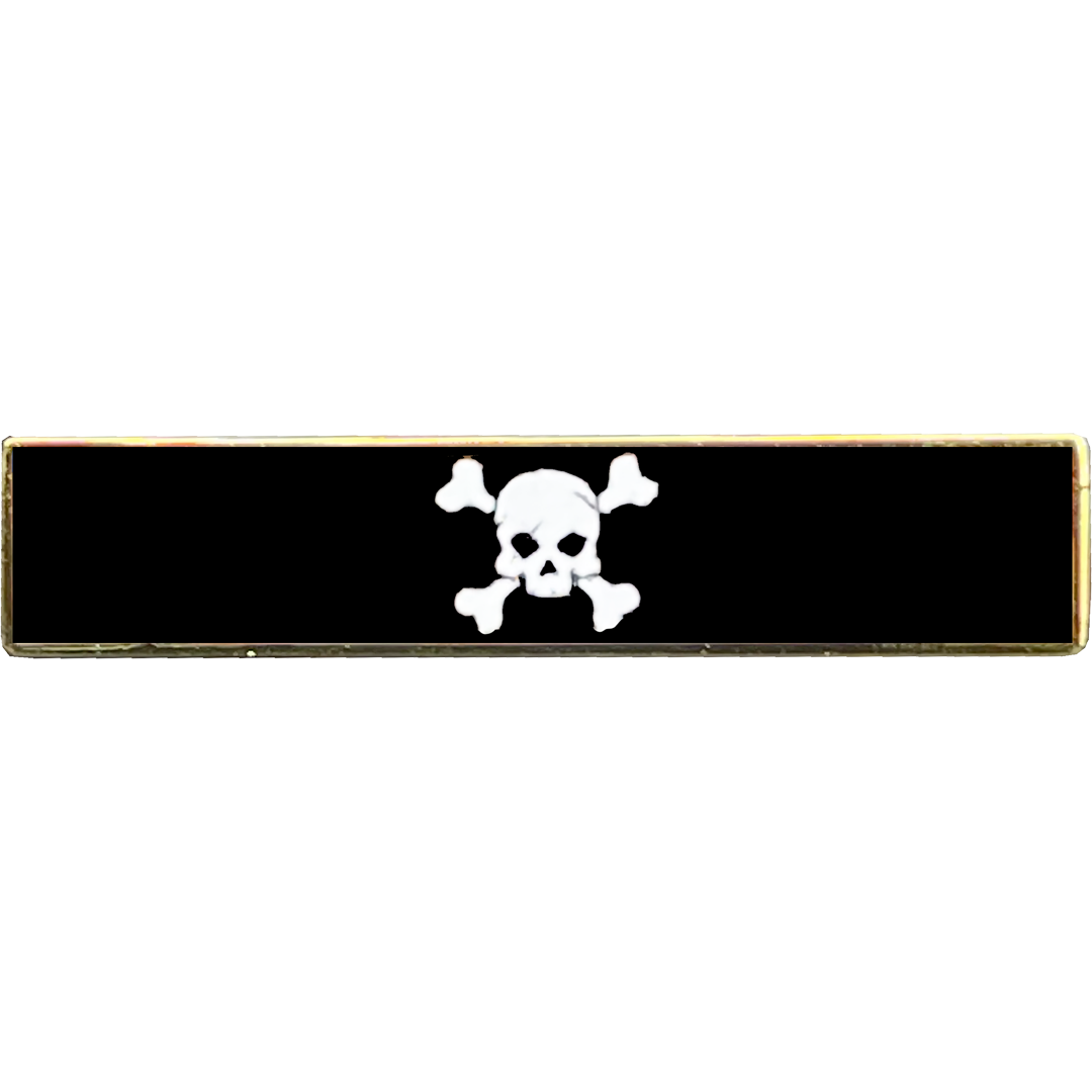 PBX-006-H Morale is Dead Pirate Flag commendation bar pin Police Unifo ...