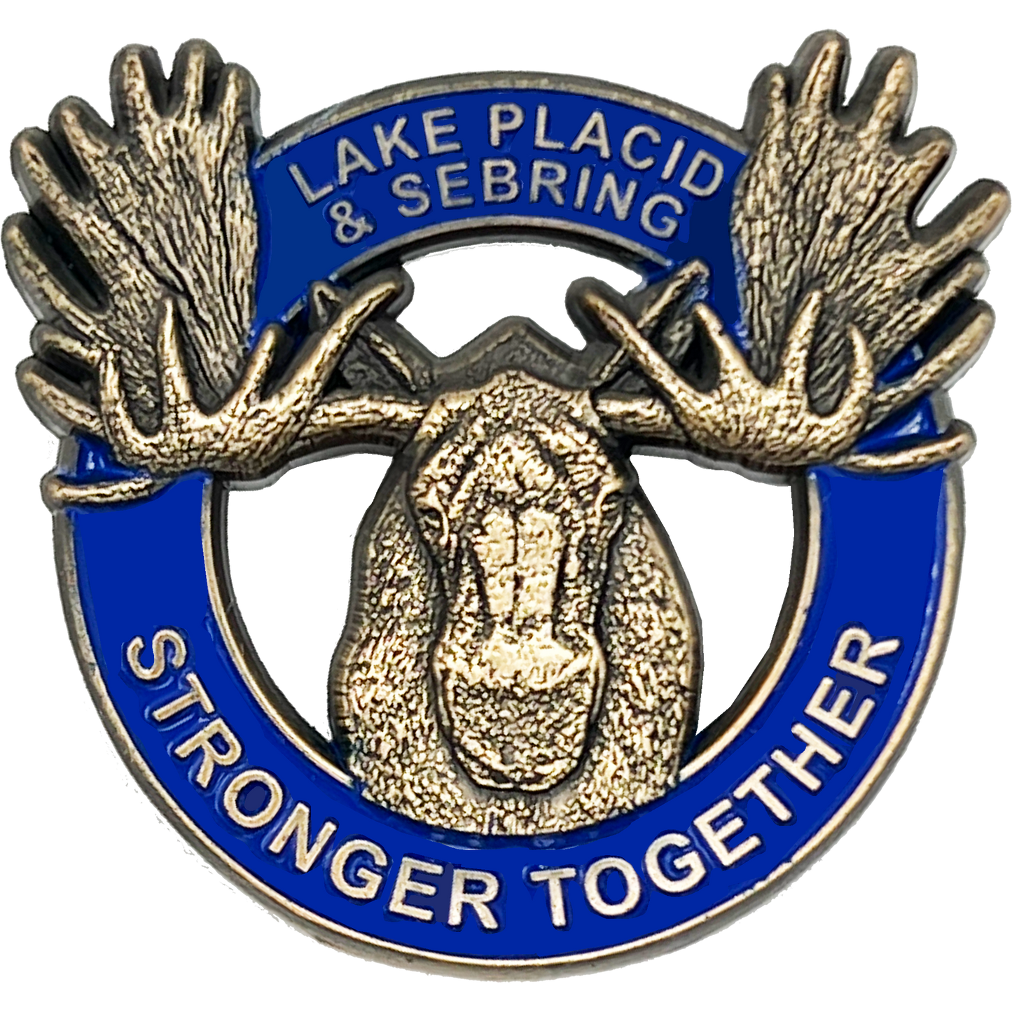 CL5-015 Lake Placid FL and Sebring Florida Stronger Together Moose Rack Pin Lodge Pride not challenge coin